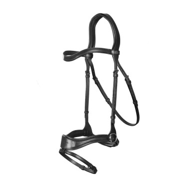 Bridão D Motion New English Collection by Dy'on Preto