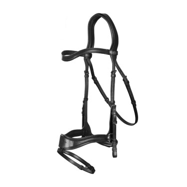 Bridão D Motion New English Collection by Dy'on Preto