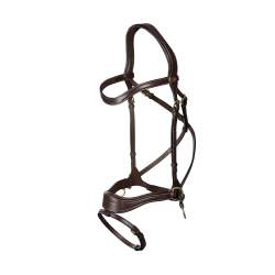 Bridão D Motion D Collection by Dy'on Castanho