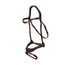 Bridão D Motion D Collection by Dy'on Castanho