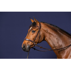 Bridão D Motion D Collection by Dy'on Castanho