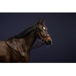 Bridão D Motion D Collection by Dy'on Castanho