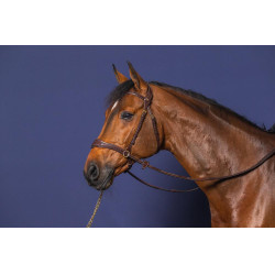 Bridão D Motion D Collection by Dy'on Castanho