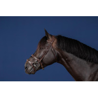 Bridão Duplo com Duas Cavestras Coleção US da Dy'on Castanho