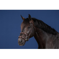 Bridão Duplo com Duas Cavestras Coleção US da Dy'on Castanho