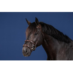 Bridão Duplo com Duas Cavestras Coleção US da Dy'on Castanho Bridão Duplo com Duas Cavestras Coleção US da Dy'on Castanho