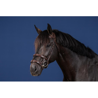 Bridão Duplo com Duas Cavestras Coleção US da Dy'on Castanho Bridão Duplo com Duas Cavestras Coleção US da Dy'on Castanho