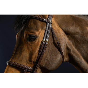 Bridão Duplo com Caneleira Dupla D Collection by Dy'on Castanho