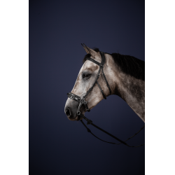 Bridon Hackamore New English Collection da Dy'on Preto Bridon Hackamore New English Collection da Dy'on Preto