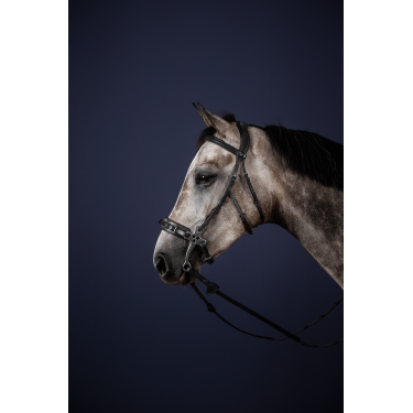 Bridon Hackamore New English Collection da Dy'on Preto Bridon Hackamore New English Collection da Dy'on Preto