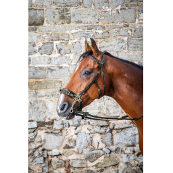 Bridon Hackamore D Collection by Dy'on Preto