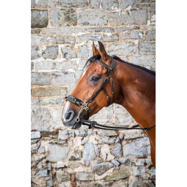 Bridon Hackamore D Collection by Dy'on Preto