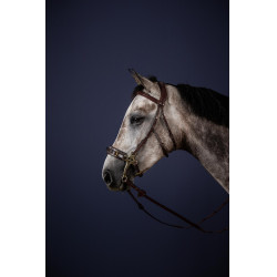 Bridon Hackamore New English Collection da Dy'on Bridon Hackamore New English Collection da Dy'on
