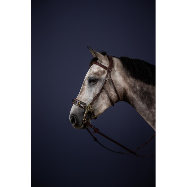 Bridon Hackamore New English Collection da Dy'on Bridon Hackamore New English Collection da Dy'on