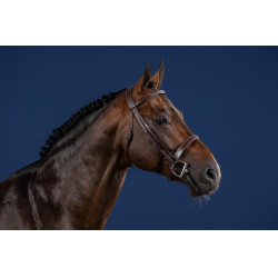 Bridão Hunter US Collection por Dy'on Bridão Hunter US Collection por Dy'on