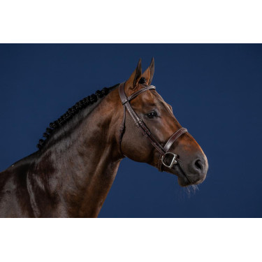 Bridão Hunter US Collection por Dy'on Bridão Hunter US Collection por Dy'on