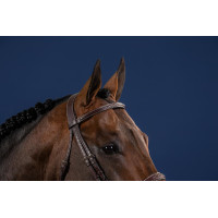 Bridão Hunter US Collection por Dy'on Preto Bridão Hunter US Collection por Dy'on Preto
