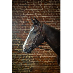 Bridon Muserolle Allemande Corde D Collection by Dy'on Brun Bridon Muserolle Allemande Corde D Collection by Dy'on Brun