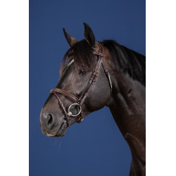 Bridão Narigueira Combinada US Collection by Dy'on Castanho Bridão Narigueira Combinada US Collection by Dy'on Castanho