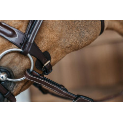 Cabezada com focinheira combinada trançada redonda Dy'on Castanho