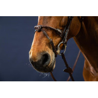 Bridon Muserolle Corde Recouverte de Cuir D Collection by Dy'on Brun Bridon Muserolle Corde Recouverte de Cuir D Collection by Dy'on Brun