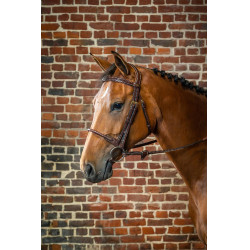 Bridon Muserolle Corde Recouverte de Cuir D Collection by Dy'on Brun Bridon Muserolle Corde Recouverte de Cuir D Collection by Dy'on Brun