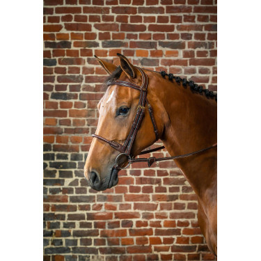 Bridon Muserolle Corde Recouverte de Cuir D Collection by Dy'on Brun Bridon Muserolle Corde Recouverte de Cuir D Collection by Dy'on Brun