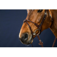 Bridão Muserola Corda Revestida de Couro New English Collection by Dy'on Castanho