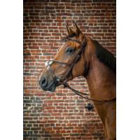 Bridon Muserola Cruzada D Collection by Dy'on Preto Bridon Muserola Cruzada D Collection by Dy'on Preto