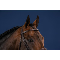 Bridão Muserola Francesa Coleção US da Dy'on Preto Bridão Muserola Francesa Coleção US da Dy'on Preto