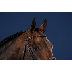 Bridão Muserola Francesa Coleção US da Dy'on Castanho