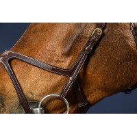 Bridão X-Fit D Collection da Dy'on Castanho