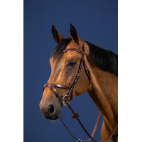 Bridão X-Fit New English Collection by Dy'on Castanho Bridão X-Fit New English Collection by Dy'on Castanho