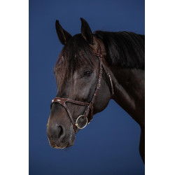 Bridão X-Fit Coleção US da Dy'on Castanho Bridão X-Fit Coleção US da Dy'on Castanho