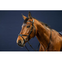 Bridão X-Fit D Collection da Dy'on Preto