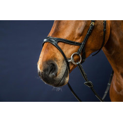 Bridão X-Fit D Collection da Dy'on Preto