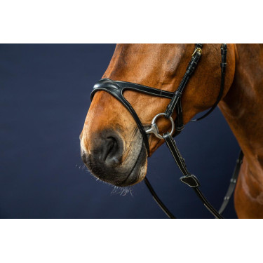 Bridão X-Fit D Collection da Dy'on Preto