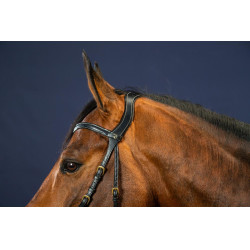 Bridão X-Fit D Collection da Dy'on Preto