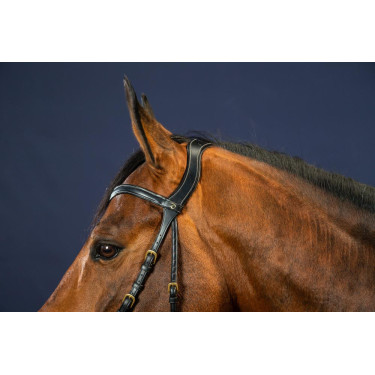 Bridão X-Fit D Collection da Dy'on Preto