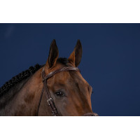 Frontal Direito US Collection by Dy'on Castanho