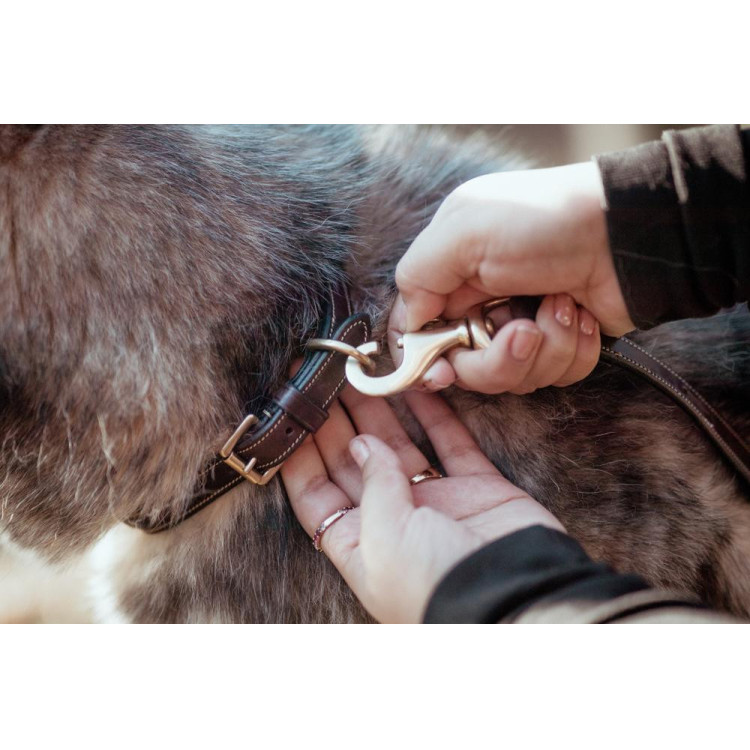 Halsband Voor Hond Met Decoratieve Stiksels Dy'on Halsband Voor Hond Met Decoratieve Stiksels Dy'on
