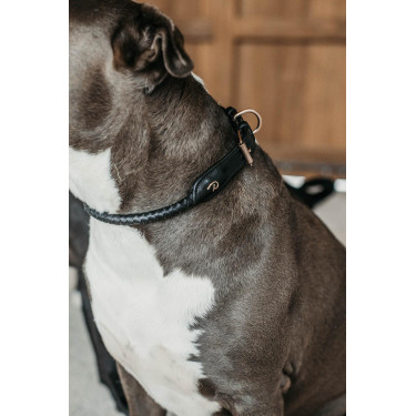 Coleira trançada para cão Dy'on