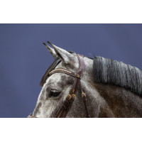 Bridão Muserola Combinada D Collection by Dy'on Preto Bridão Muserola Combinada D Collection by Dy'on Preto