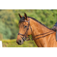 Bridão Muserola Combinada New English Collection by Dy'on Preto