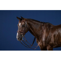 Bridão Muserola Combinada New English Collection by Dy'on Preto