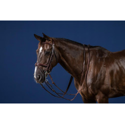 Bridão Muserola Combinada New English Collection by Dy'on Castanho