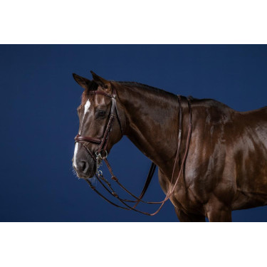 Bridão Muserola Combinada New English Collection by Dy'on Castanho