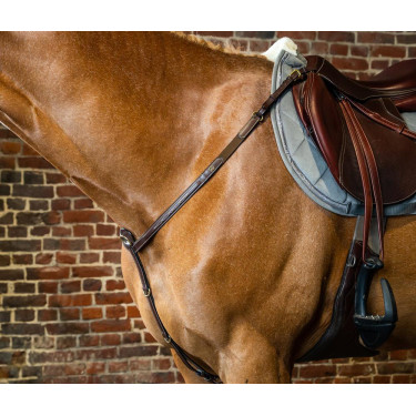 Peitoral D Collection da Dy'on Castanho