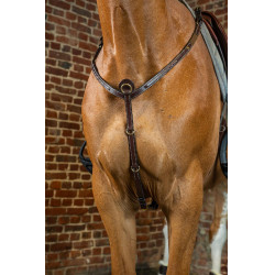 Peitoral D Collection da Dy'on Castanho