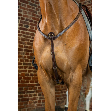 Peitoral D Collection da Dy'on Castanho